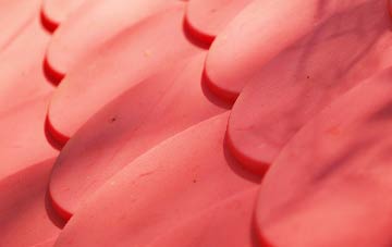 Forest Side plastic roof costs